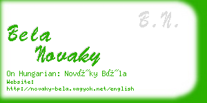 bela novaky business card